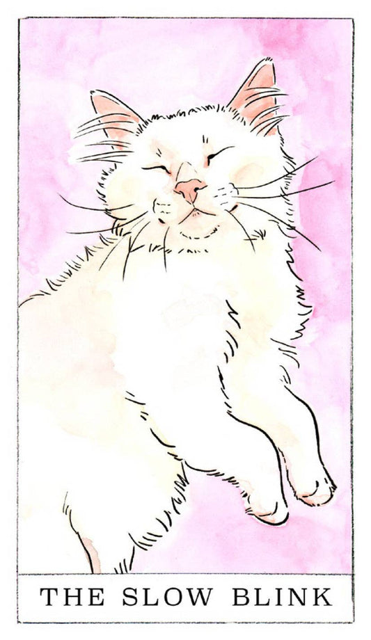 Kitten Oracle card set packaging with illustrations of kittens on a light pink background