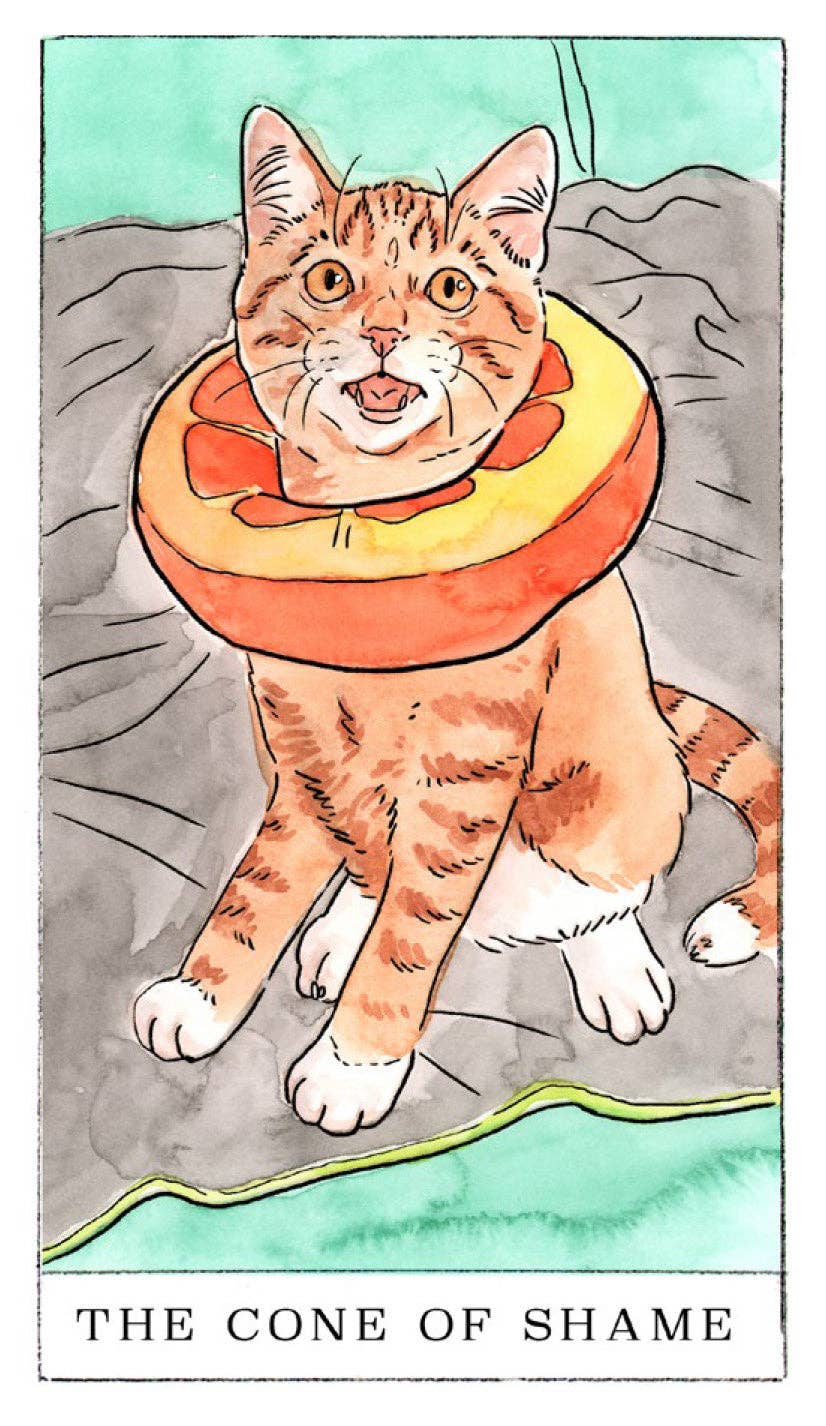 Kitten Oracle Tarot Cards