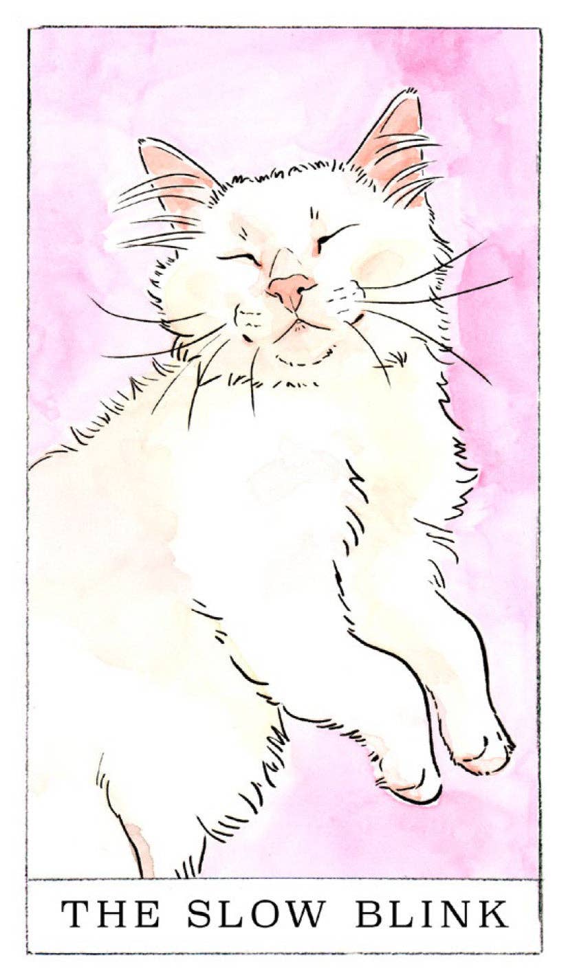 Kitten Oracle Tarot Cards