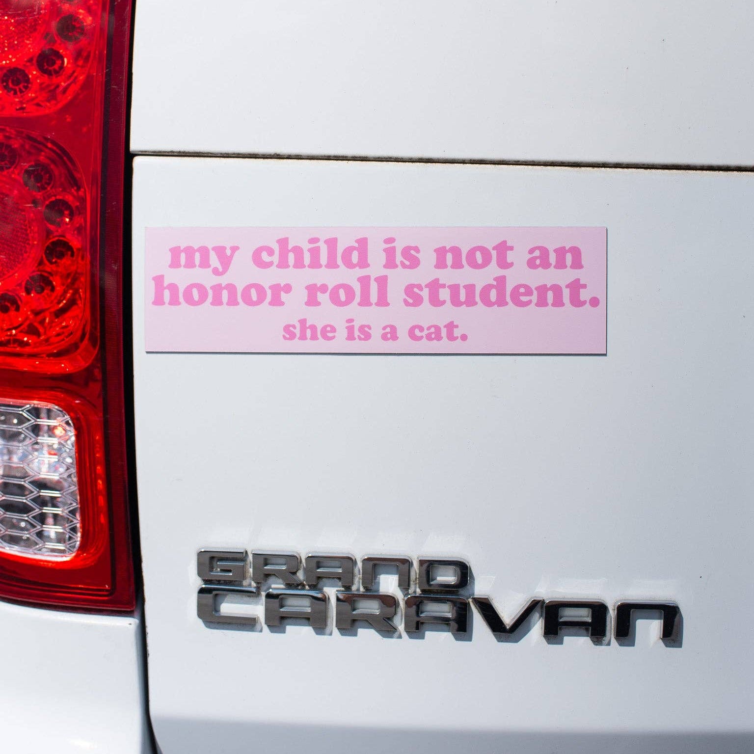 Pink bumper sticker on a car reading 'my child is not an honor roll student, she is a cat' on a white car.