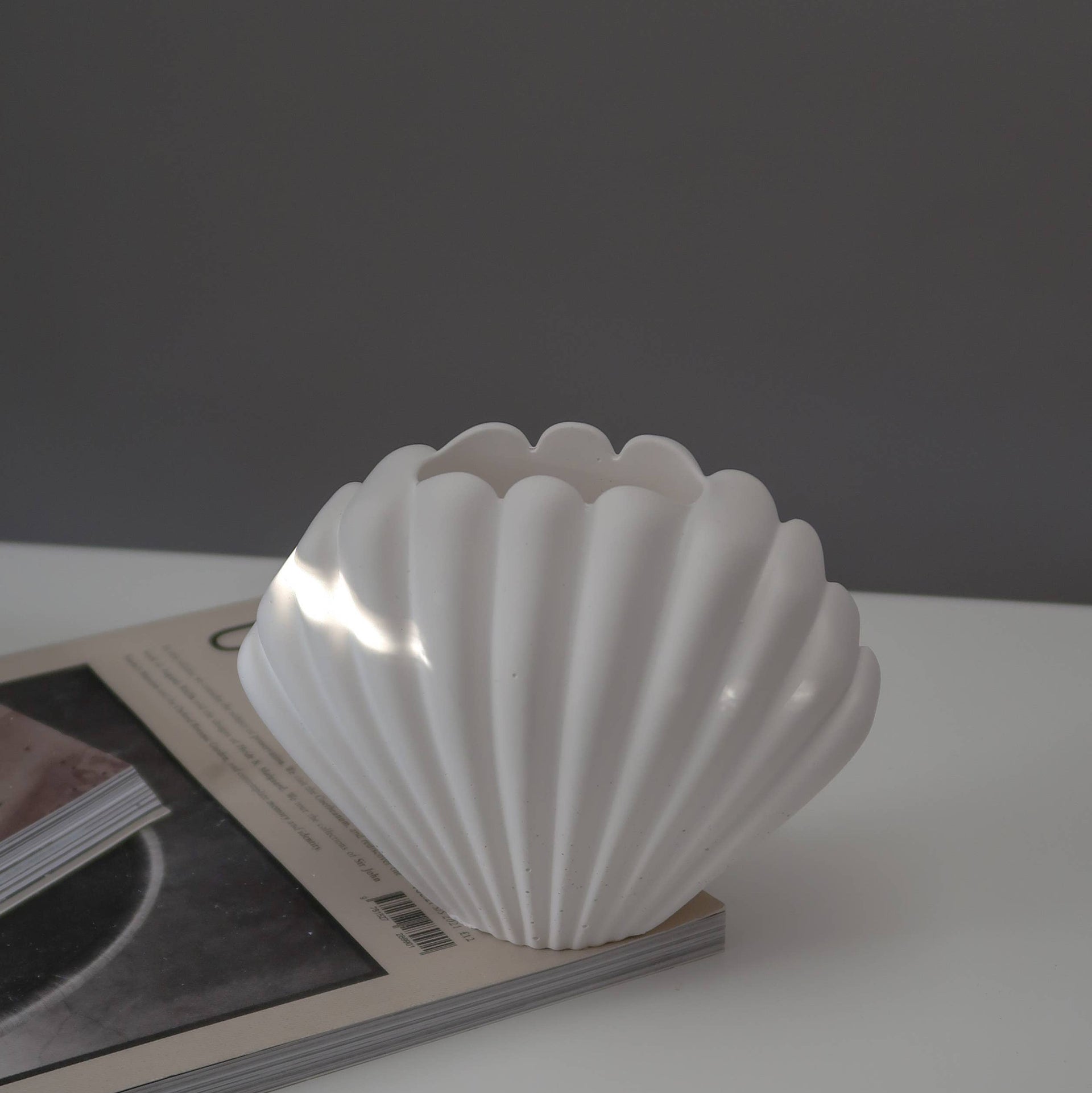 Shell vase for dry flowers: White