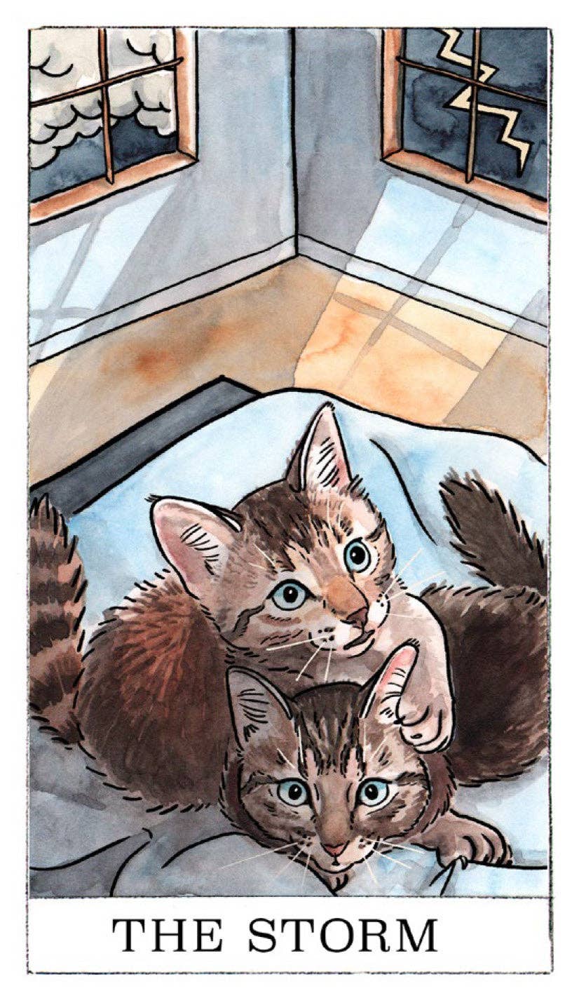 Kitten Oracle Tarot Cards