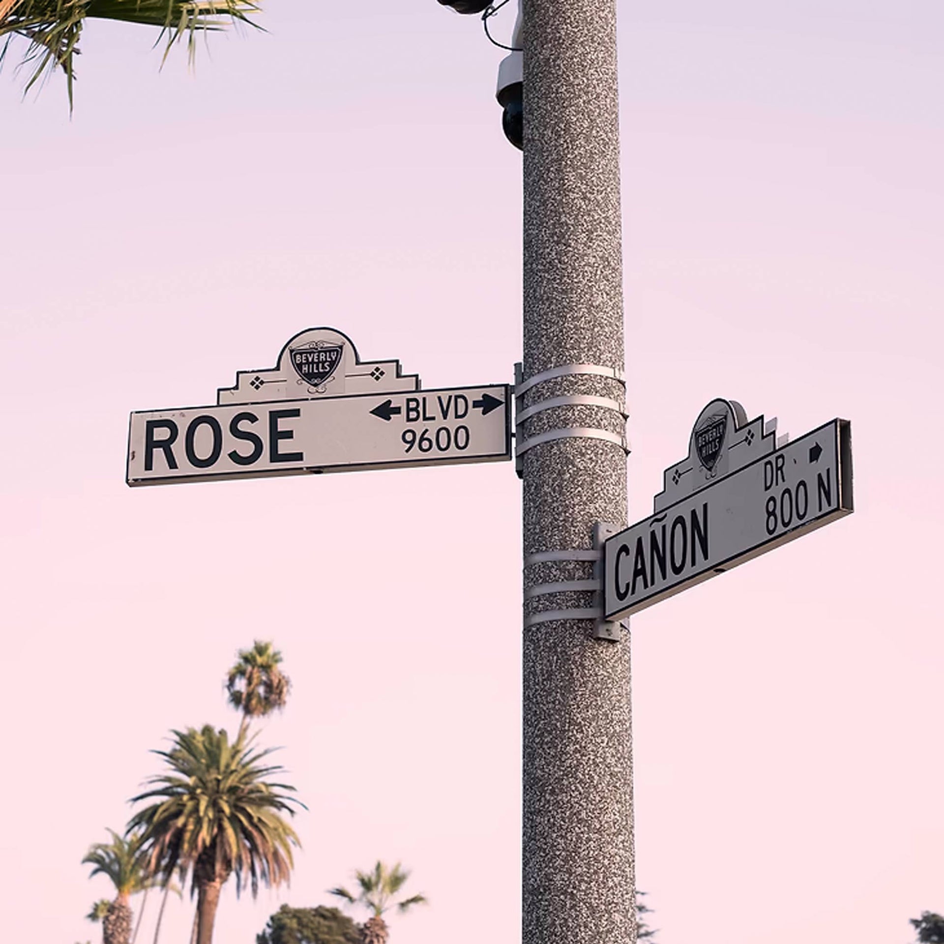 Meet Me On Sunset. Rose Blvd Reed Diffuser