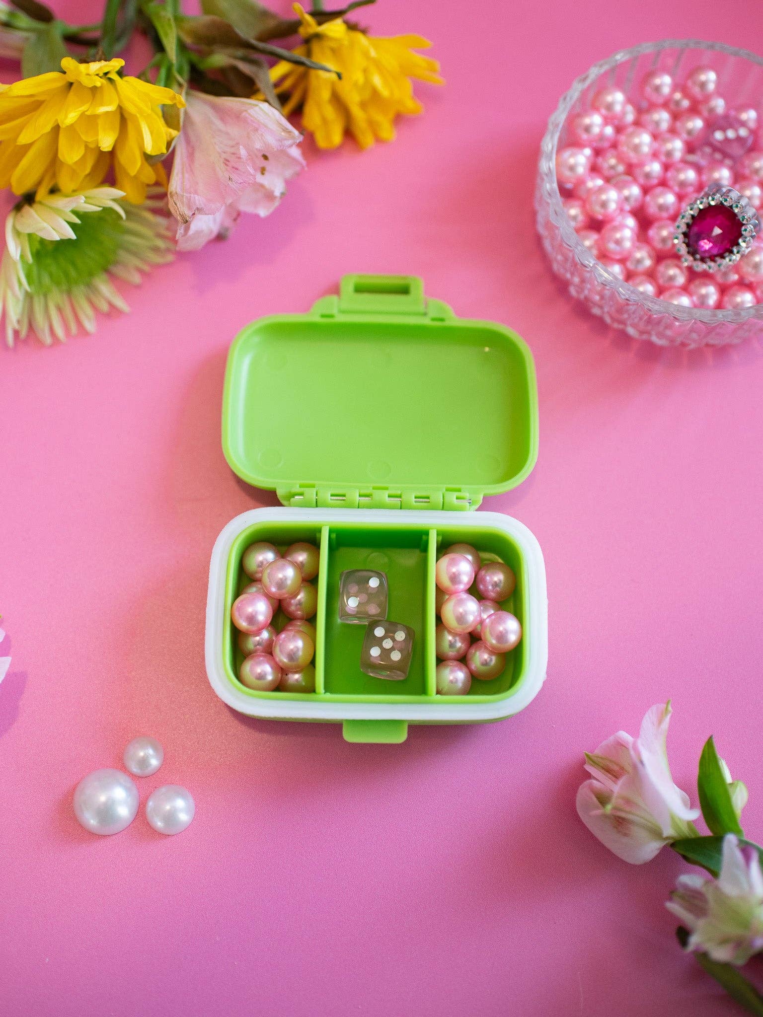 Guinea Pig Pill Case