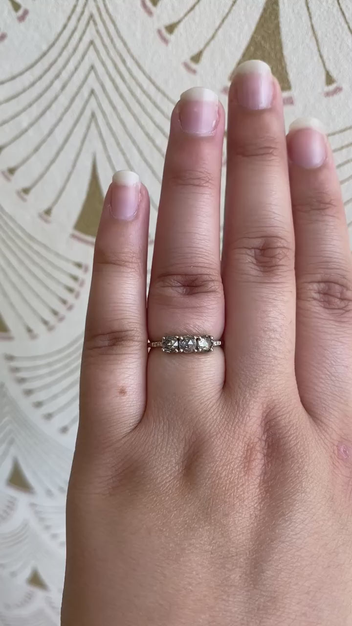 Salt And Pepper Equilibrium Ring