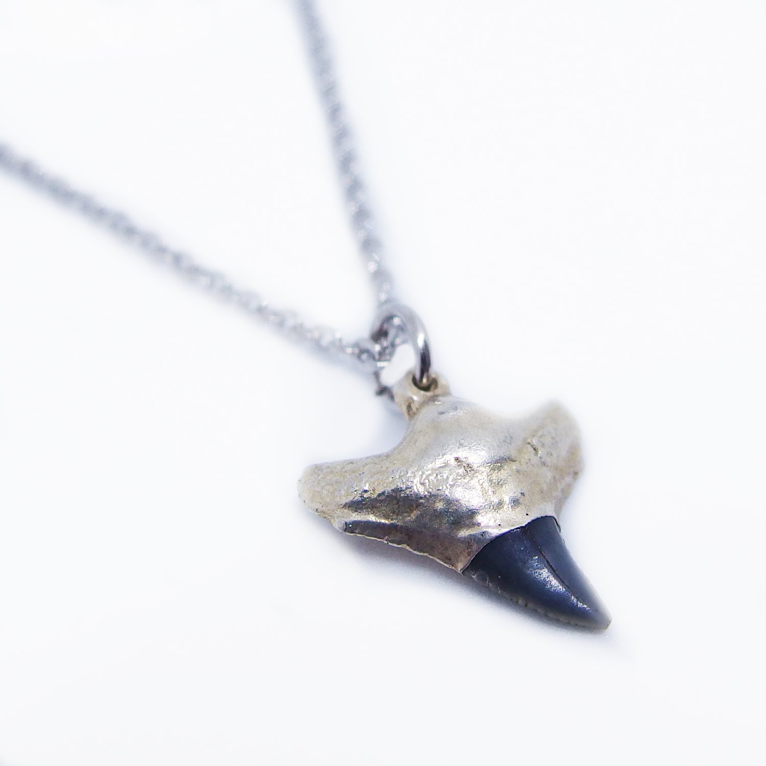 Small Fossil Shark Tooth Pendant