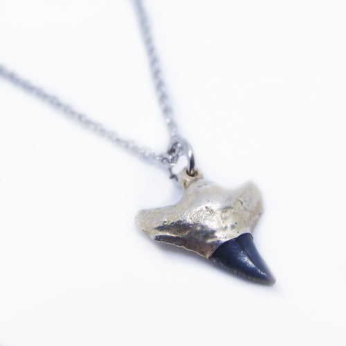 Small Fossil Shark Tooth Pendant