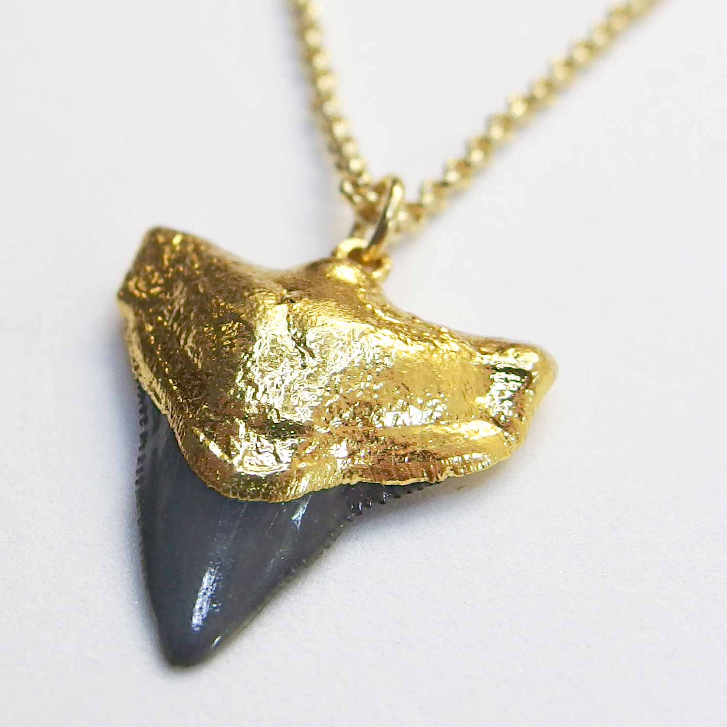 Gold Shark Tooth Pendant