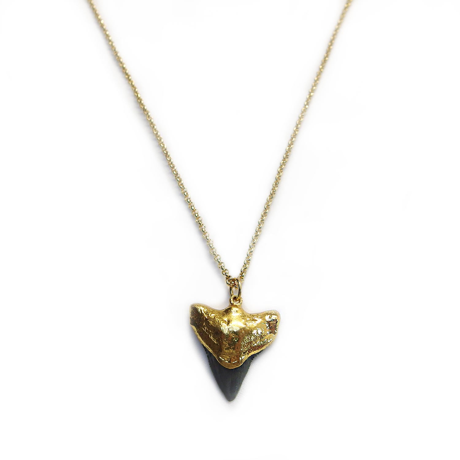 Gold Shark Tooth Pendant