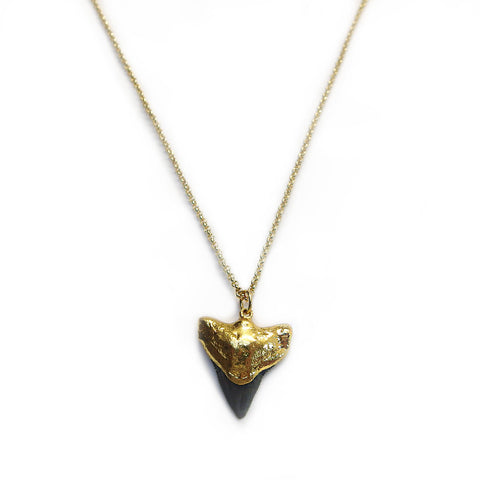 Small Fossil Shark Tooth Pendant