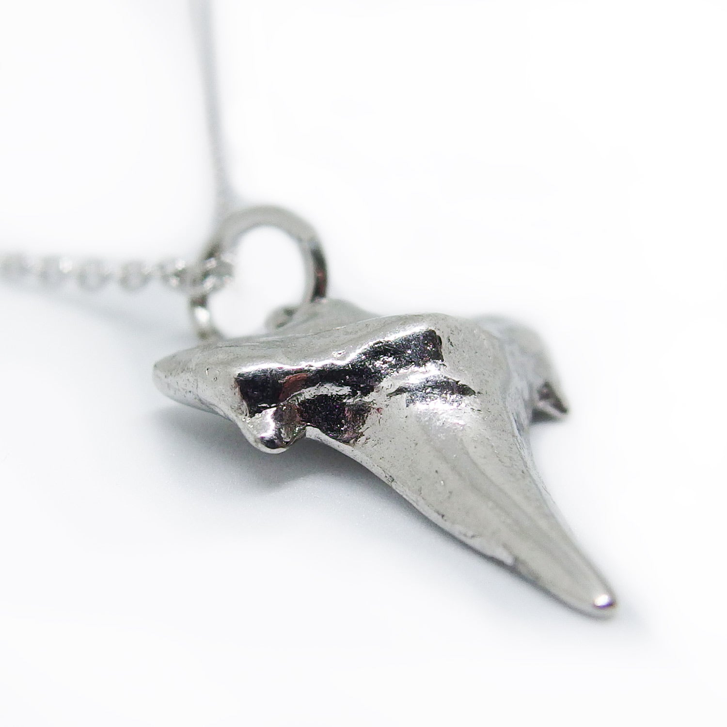 Silver Shark Tooth Pendant
