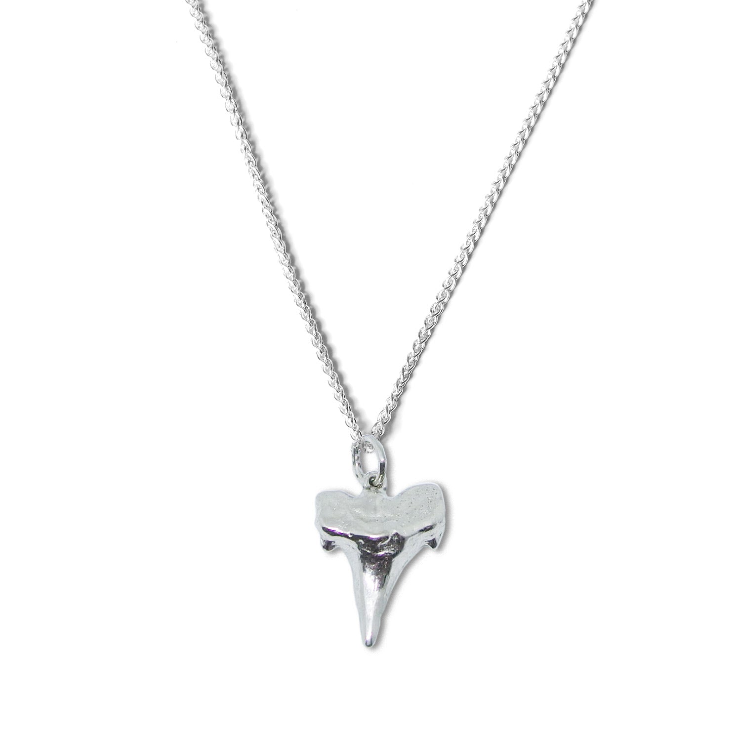 Silver Shark Tooth Pendant