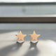 Tiny Star Stud Earrings